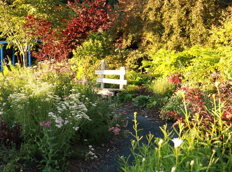 Summer path in garden