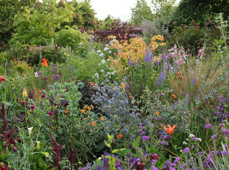 Villaleigh garden in bloom