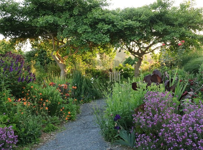 Villaleigh garden path with trees