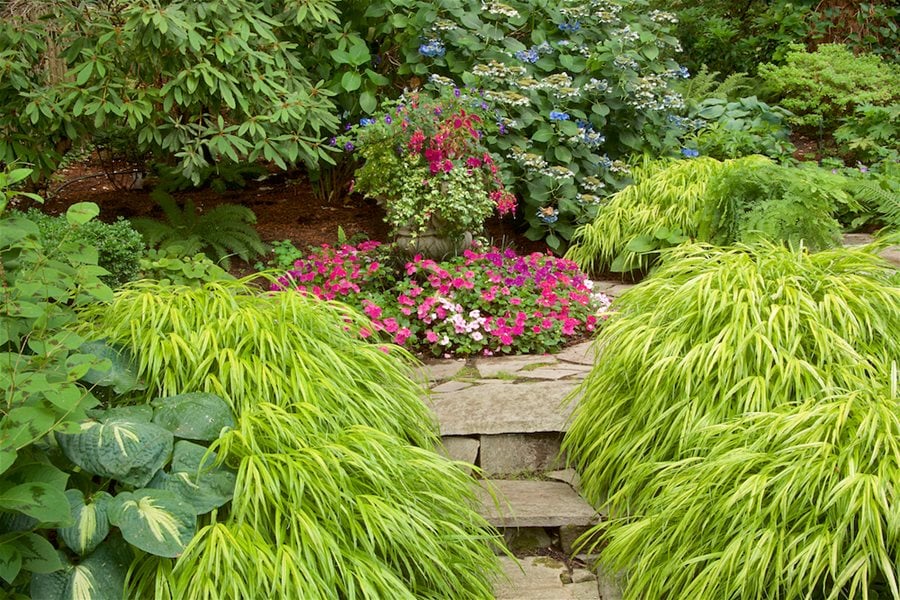 https://www.gardendesign.com/pictures/images/900x705Max/dream-team-s-portland-garden_6/impatiens-in-shade-garden-flowers-in-shade-garden-design_16958.jpg