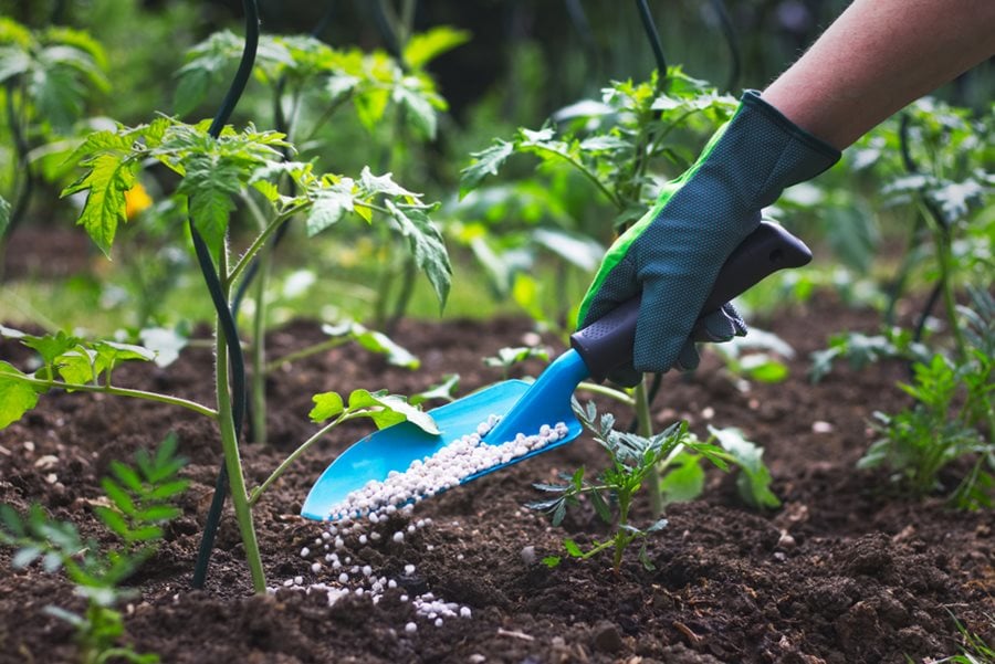 Garden Fertilizer Types When How To Fertilize Garden Design