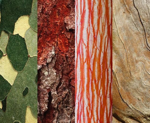Tree Bark Offers Color, Texture and Pattern Garden Design