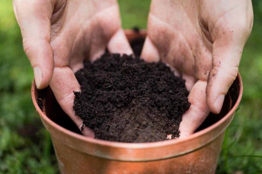 Potting Soil 101: How to Choose the Right Potting Mix for Your Plants