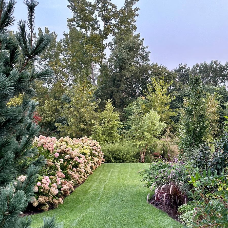 Grass Path Through Garden Borders
"Dream Team's" Portland Garden
Garden Design
Calimesa, CA