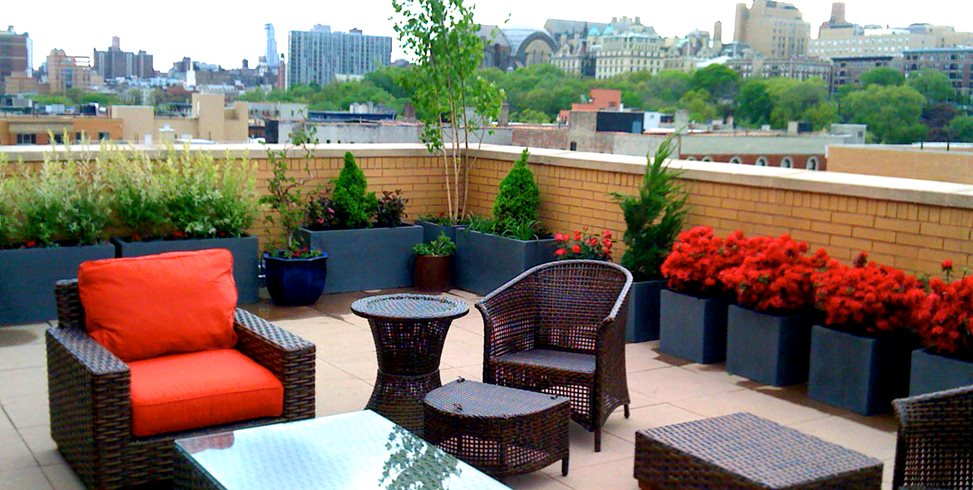 Guide to Rooftop Gardens