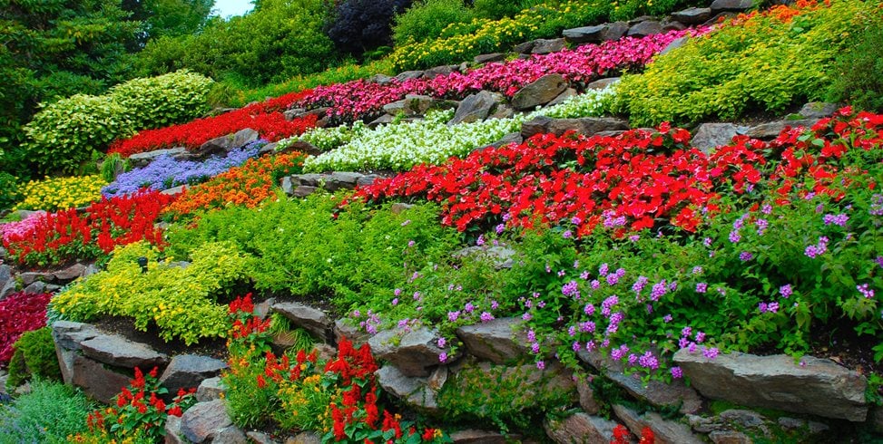 landscape pictures with flowers