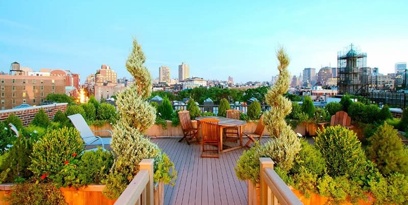 Guide to Rooftop Gardens | Garden Design